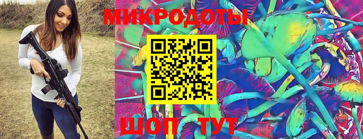 Псилоцибиновые грибы Psilocybine cubensis Электросталь